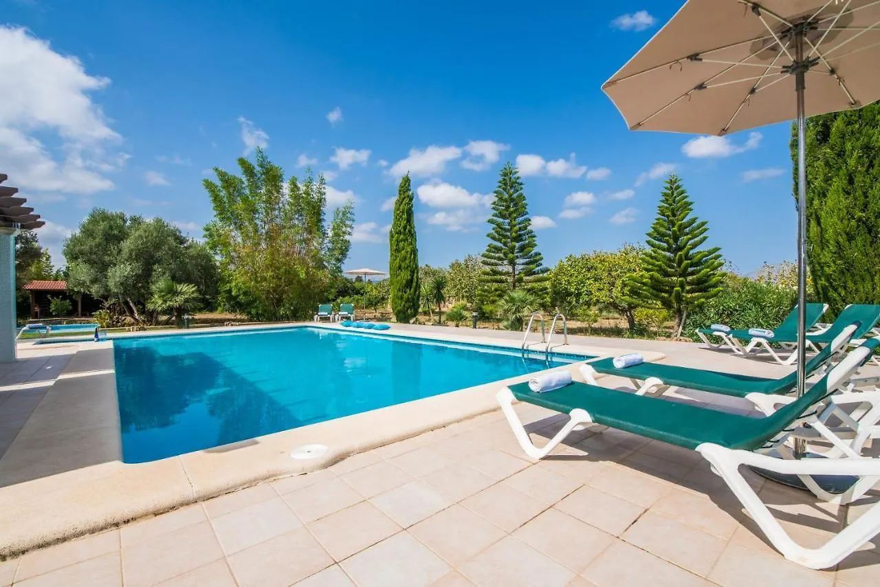 Ideal Property Mallorca - Siona Port de Alcudia  Country house Port de Alcudia (Mallorca)