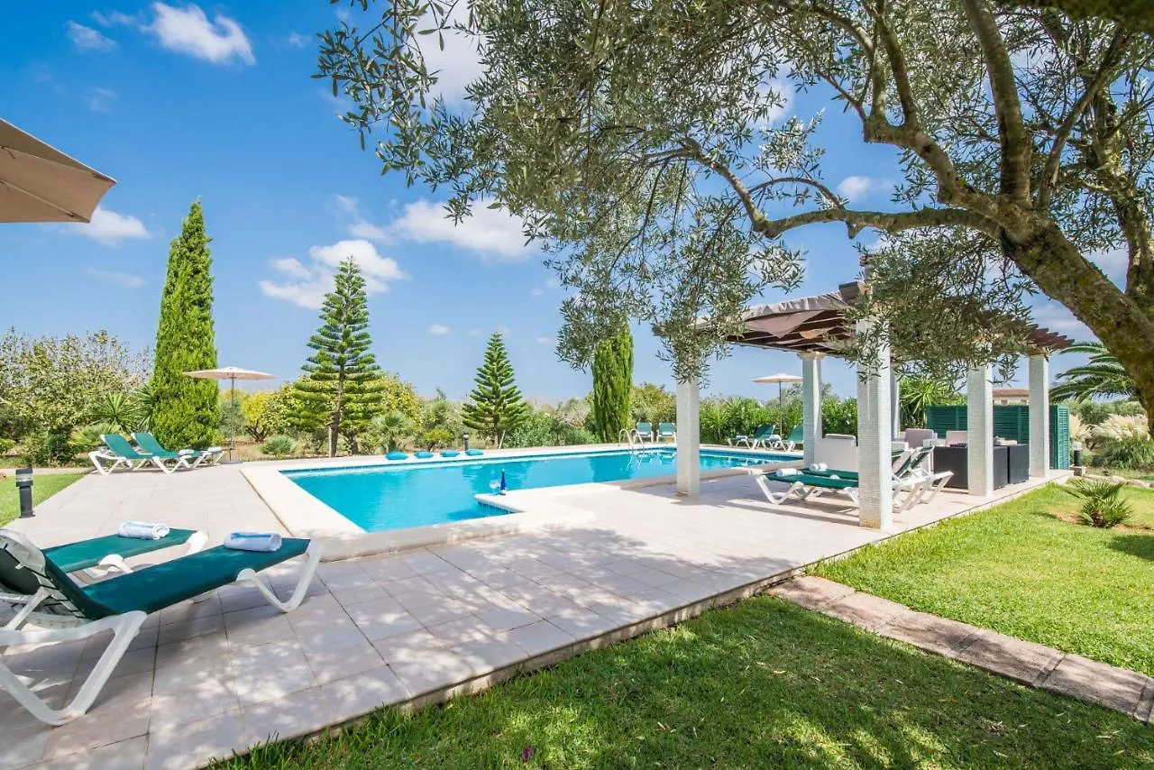 Ideal Property Mallorca - Siona Port de Alcudia  0*, Port de Alcudia (Mallorca) Spain
