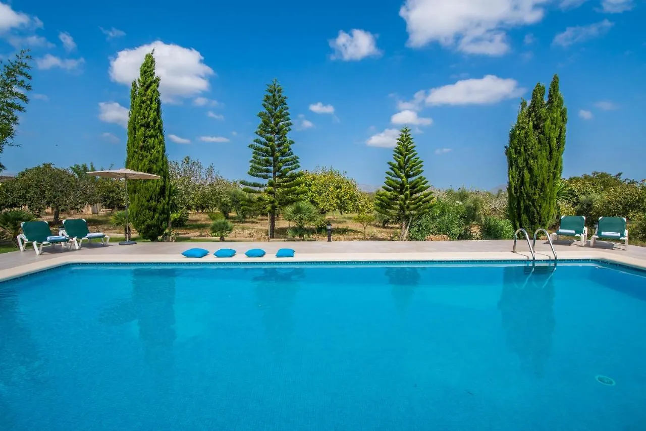 Ideal Property Mallorca - Siona Port de Alcudia  Port de Alcudia (Mallorca)