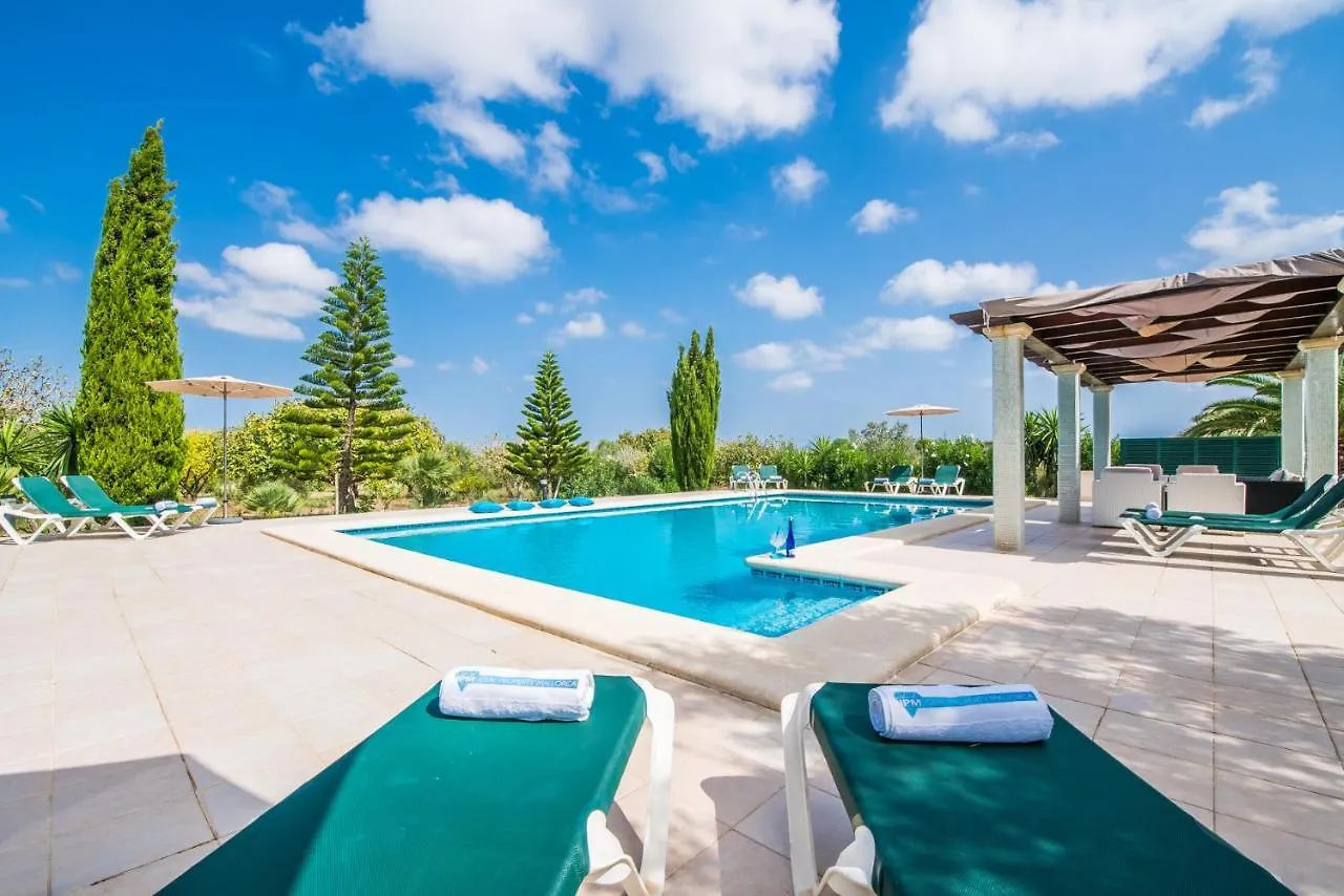 Ideal Property Mallorca - Siona Port de Alcudia  Port de Alcudia (Mallorca)