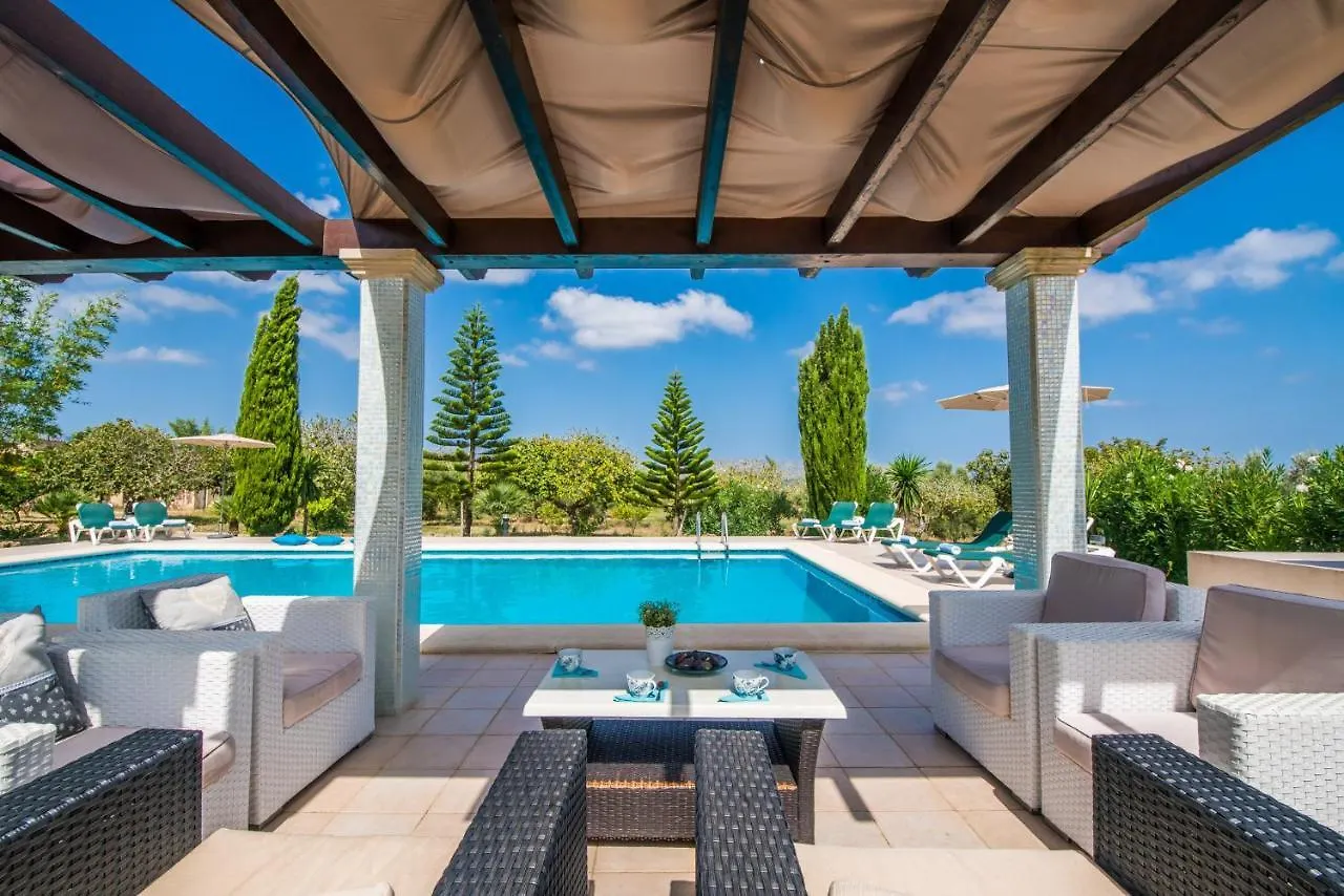 Ideal Property Mallorca - Siona Port de Alcudia  Port de Alcudia (Mallorca)