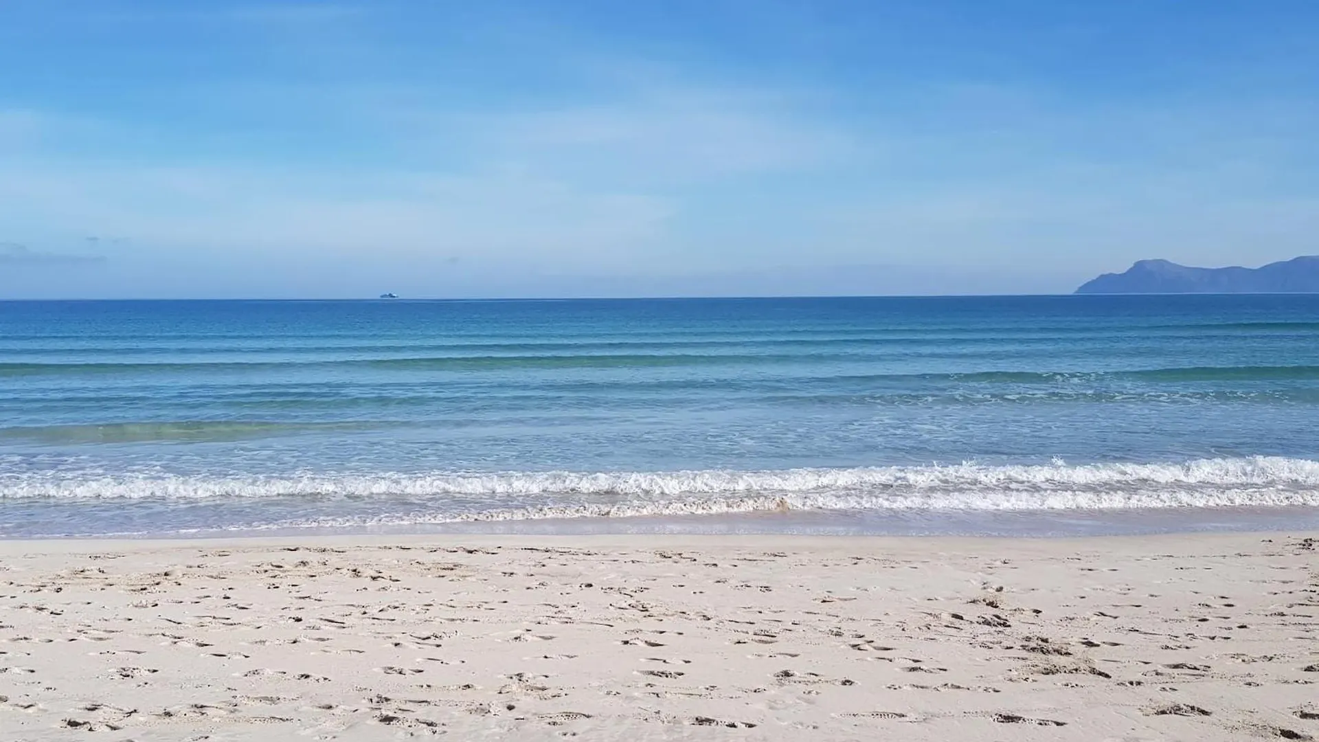 Ideal Property Mallorca - Siona Port de Alcudia